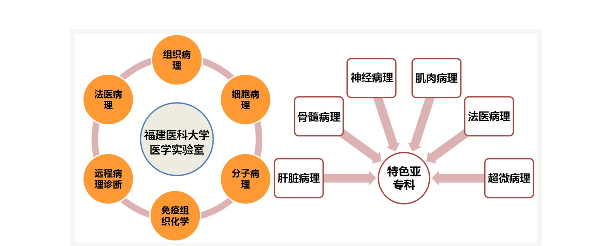 医学实验室介绍